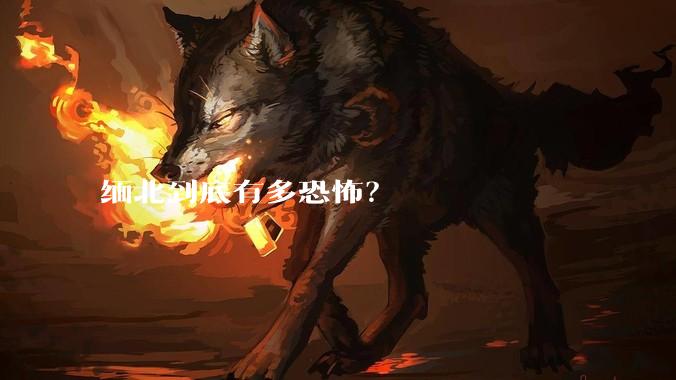 缅北到底有多恐怖？